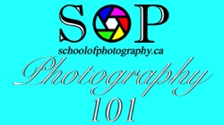 Photography 101 - School of Photography - 8 Weeks